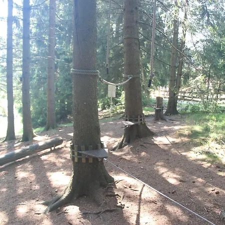 Gemuetliche In Hahnenklee Mit Blick Auf Den Bocksberg 고슬라르