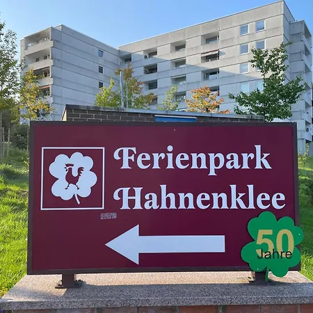 Gemuetliche In Hahnenklee Mit Blick Auf Den Bocksberg Appartement Goslar