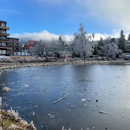 شقة Gemuetliche In Hahnenklee Mit Blick Auf Den Bocksberg *