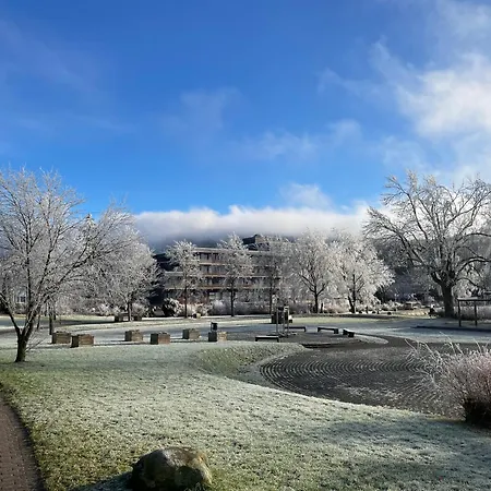 شقة Gemuetliche In Hahnenklee Mit Blick Auf Den Bocksberg جوسلار