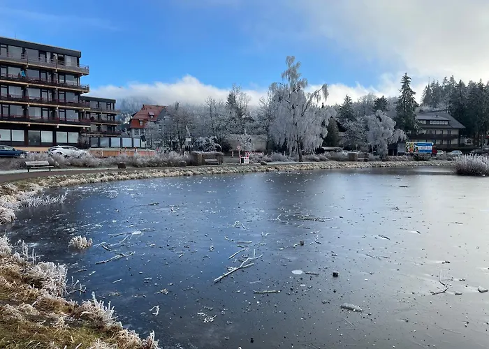 Appartement Gemuetliche In Hahnenklee Mit Blick Auf Den Bocksberg *