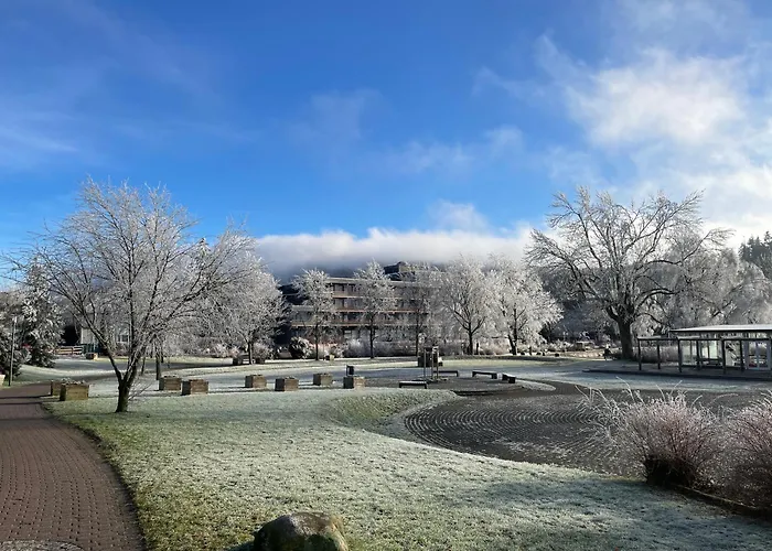 Appartement Gemuetliche In Hahnenklee Mit Blick Auf Den Bocksberg Goslar